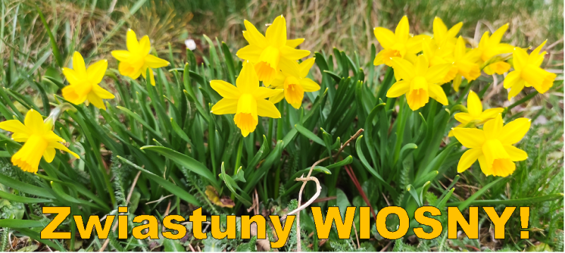 Wiosna, Wiosna!