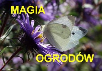 Magia Ogrodów